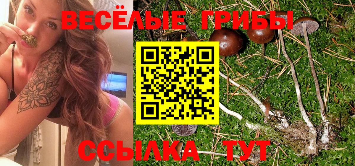 Псилоцибиновые грибы мицелий  Галлюциногенные грибы GOLDEN TEACHER  Зеленокумск  Вход с VPN 