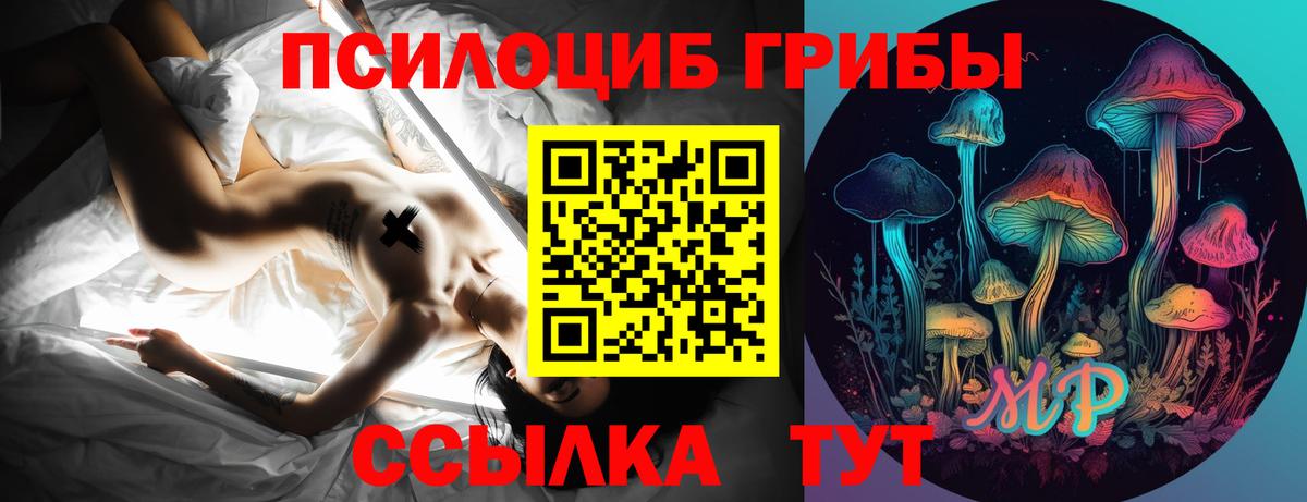 Псилоцибиновые грибы ЛСД Зеленокумск